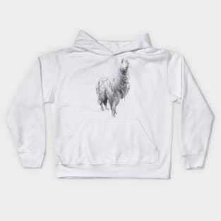 Alpaca Kids Hoodie